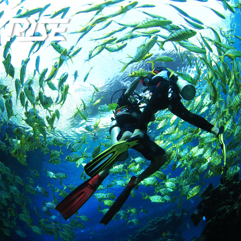 三亚海棠湾特缔思潜水培训padiowaow